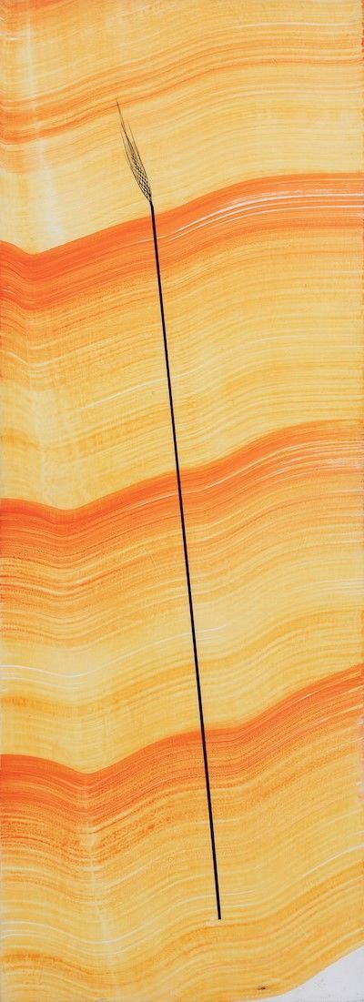 Tavola D’aria, 1993