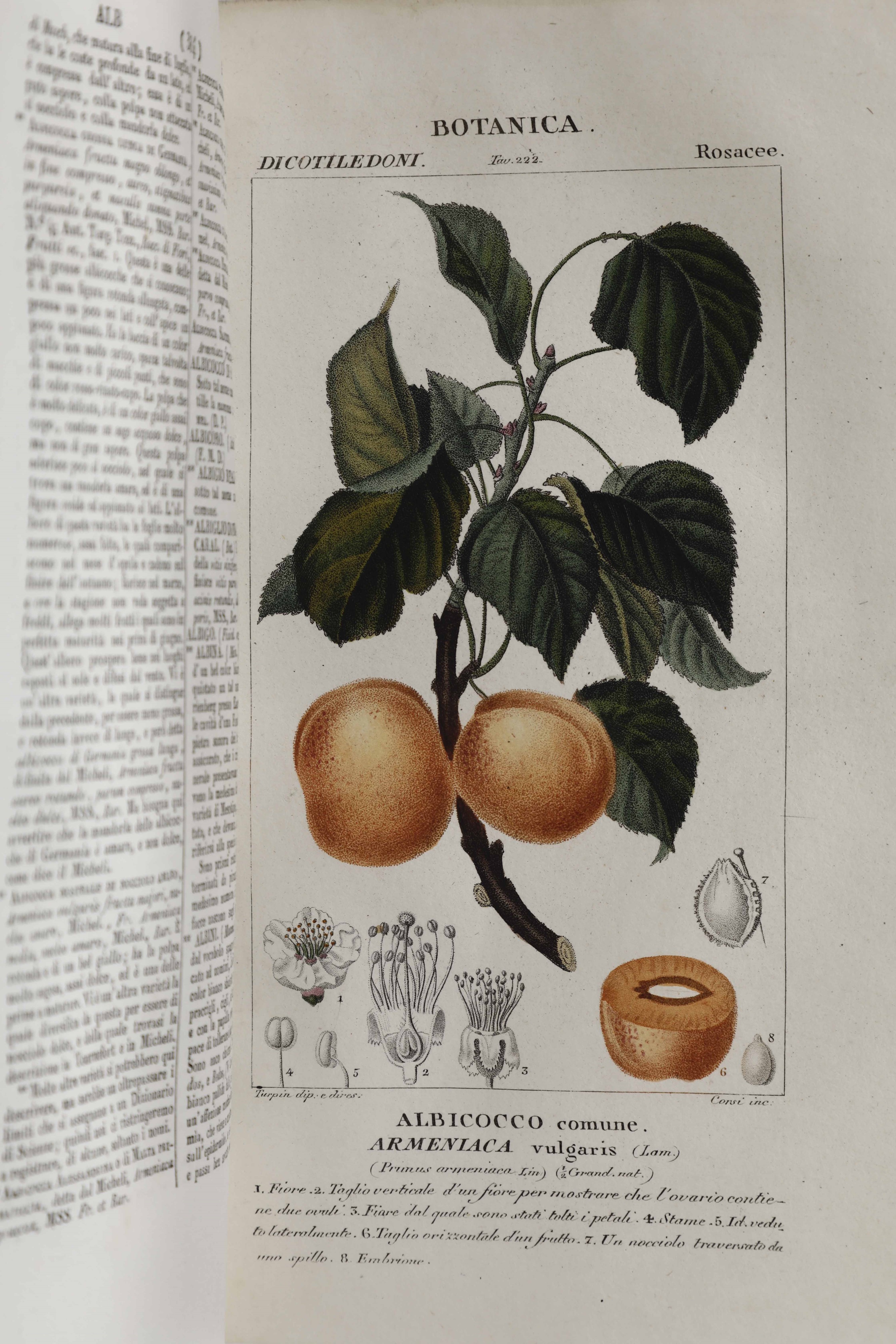 Autori Vari Dizionario delle scienze naturali... Prima traduzione dal Francese con aggiunte e cor...
