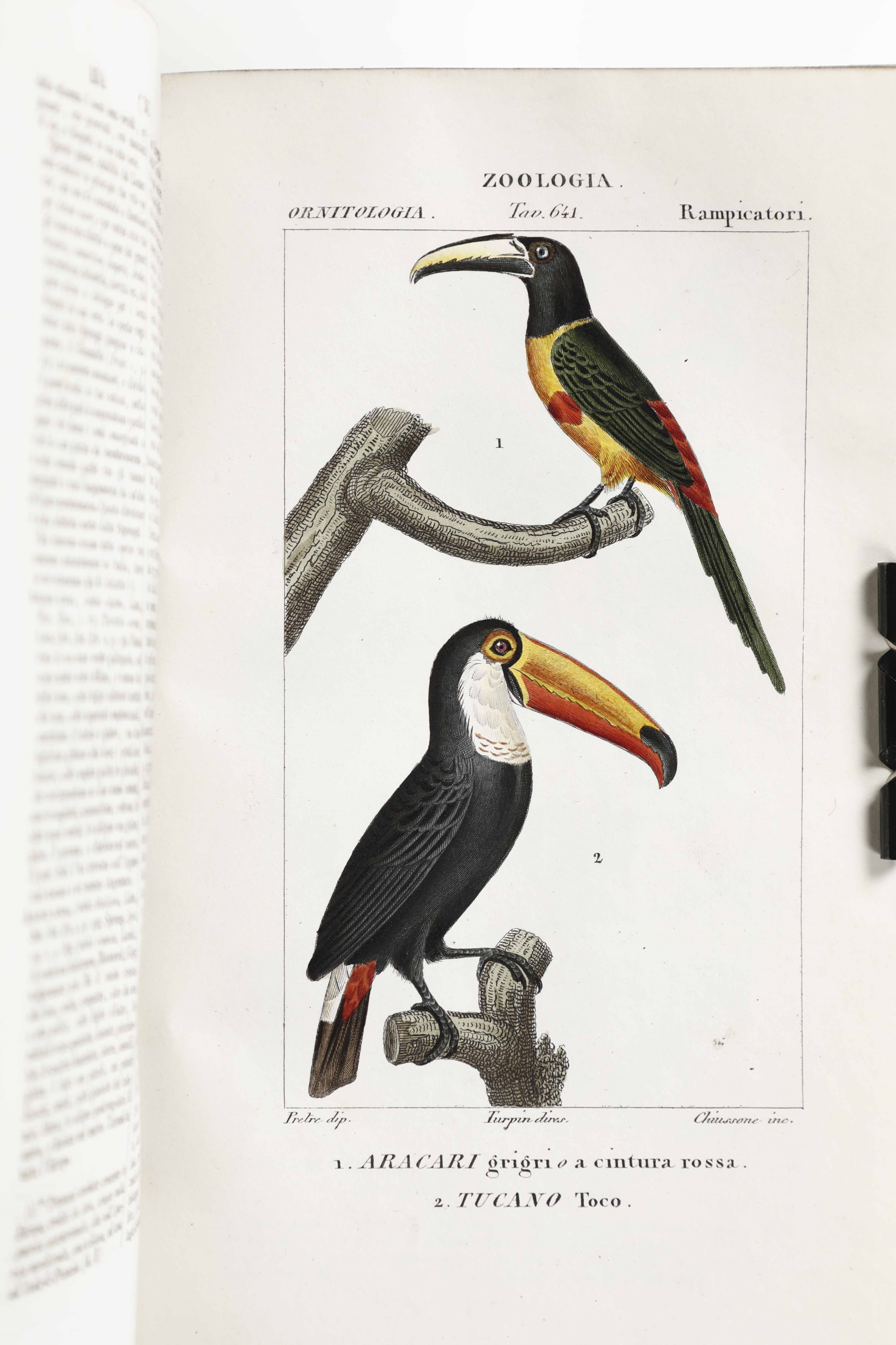 Autori Vari Dizionario delle scienze naturali... Prima traduzione dal Francese con aggiunte e cor...