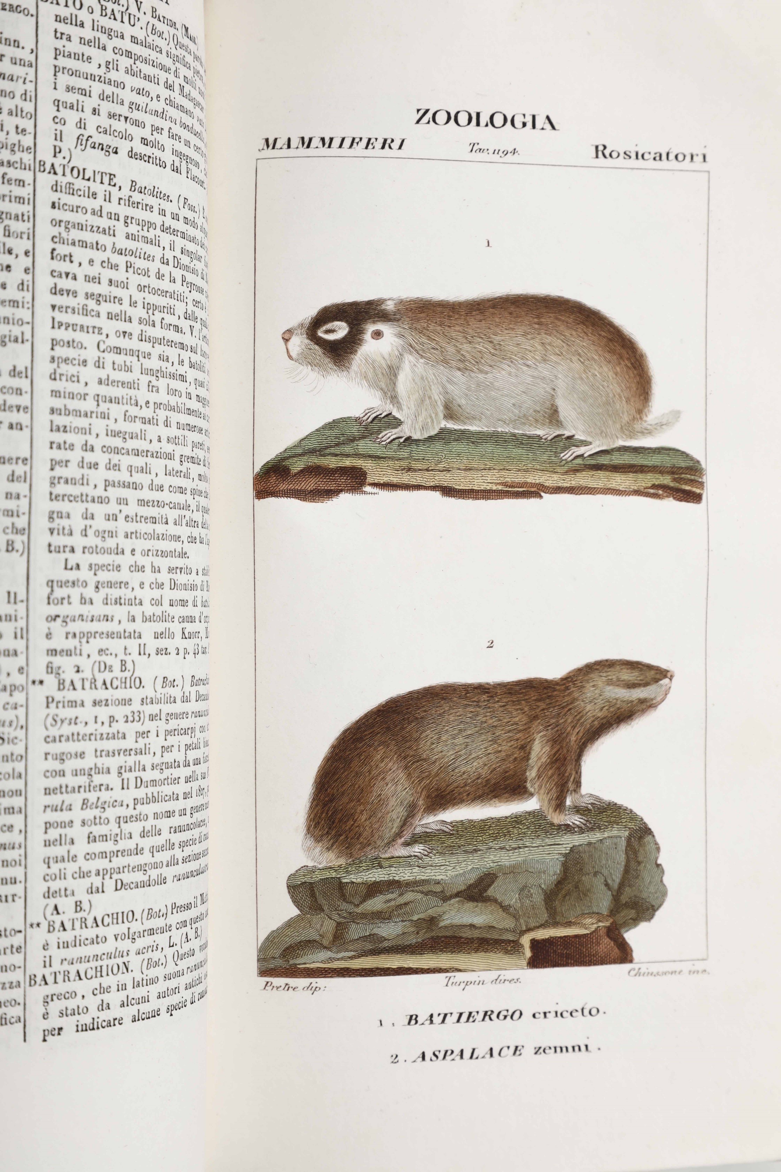 Autori Vari Dizionario delle scienze naturali... Prima traduzione dal Francese con aggiunte e cor...