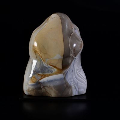 Diaspro Zebra