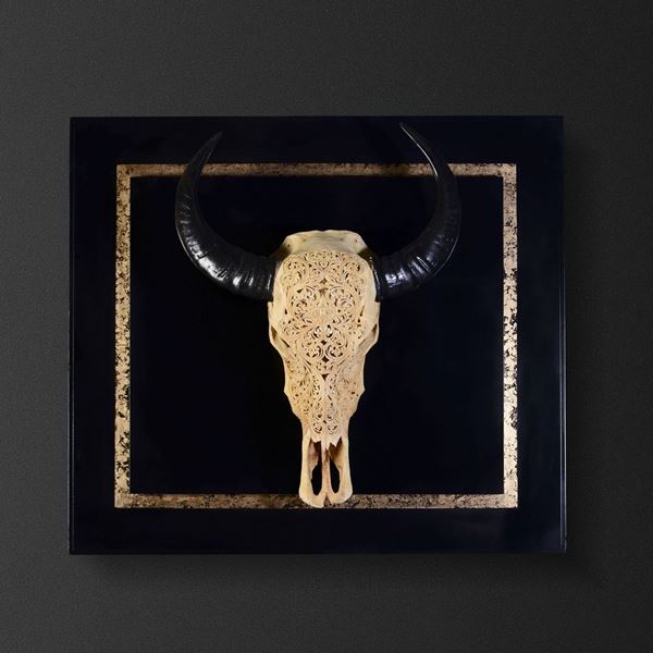 Cranio di bufalo indiano su quadro
