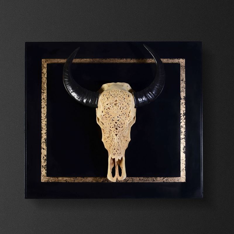 Cranio di bufalo indiano su quadro  - Asta Mirabilia - Cambi Casa d'Aste