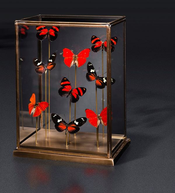 Red Butterflies under glass