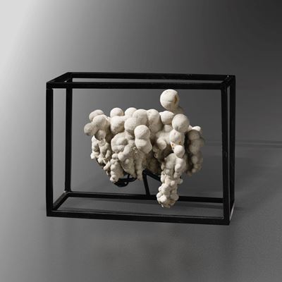 Concrezione di Calcite in Teca