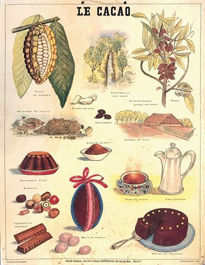 Cancianle Cacao / Curacao Marcati Treviso