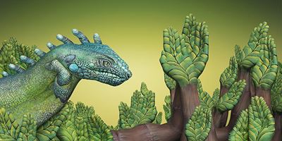 Guido Danielecostarica Iguana