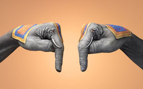 Guido Daniele India Elephants
