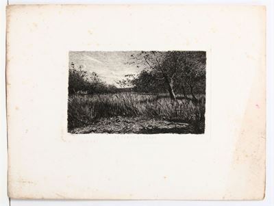 Ernesto Rayper, Due Incisioniimpressioni D'estate e un Campo di Grano