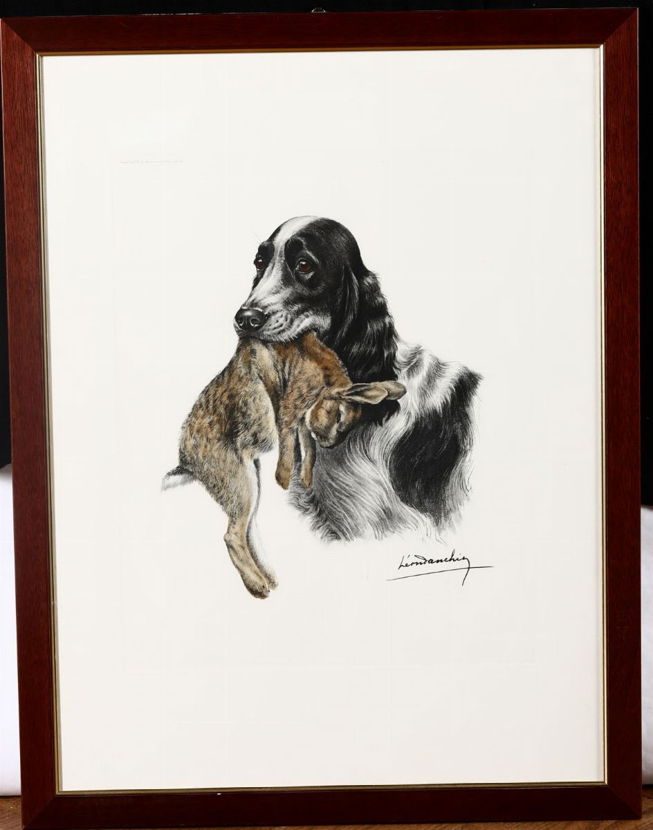 Cinque Stampe Raffiguranti Cani da Caccia, Firmate in Basso a Destra Leon Danchin