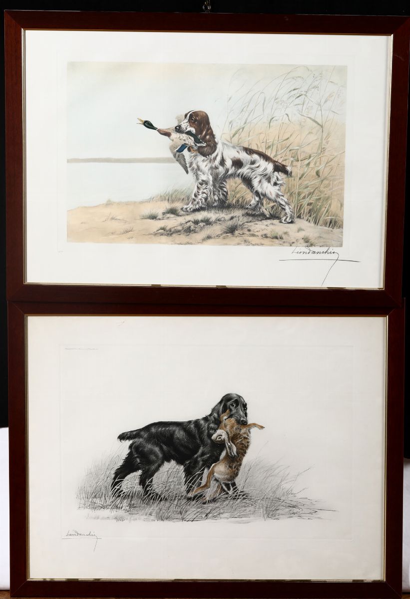 Cinque Stampe Raffiguranti Cani da Caccia, Firmate in Basso a Destra Leon Danchin