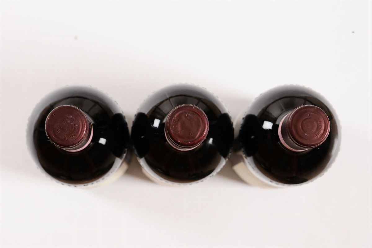 *rocche dei Manzoni, Barolo, Vigna Cappella di S. Stefano, 2004