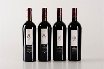 *bodegas Mauro, Terreus