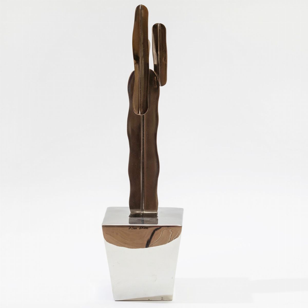 Alex Davis (XX-XXI)my Lazy Garden Cactus, 2007