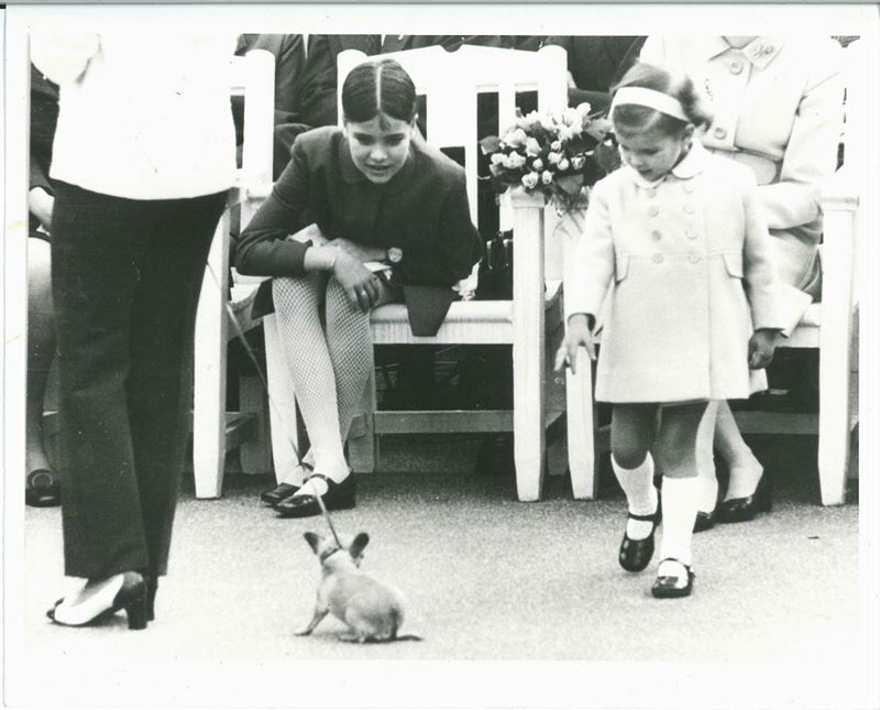 Grace Kelly con figlie e cucciolo, 1966-67  - Asta C'era una volta a Hollywood - Cambi Casa d'Aste