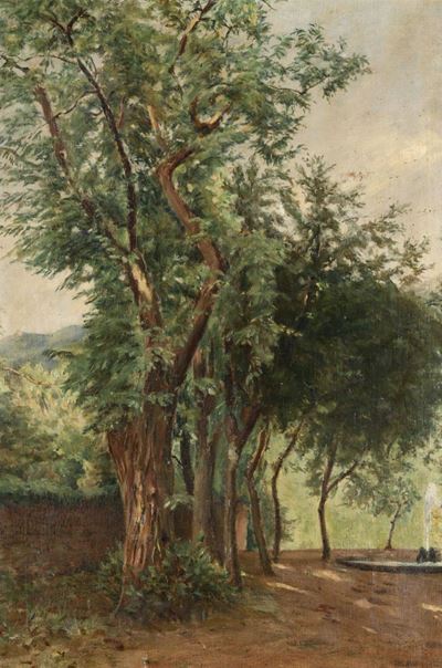 Anonimo, Inizio XX Secolopaesaggio con Albero