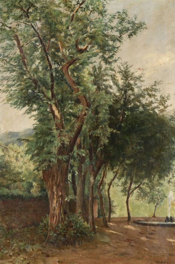 Anonimo, inizio XX secolo Paesaggio con albero