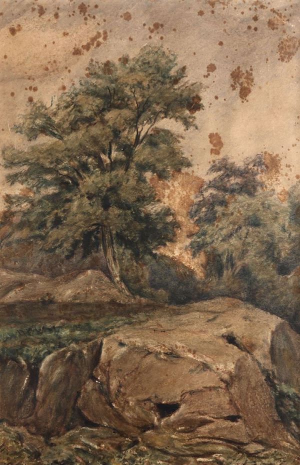 Anonimo inizio XX secolo Paesaggio con albero