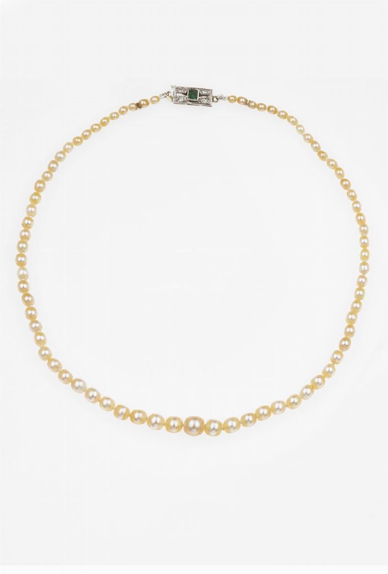 Natural pearl necklace  - Auction Fine Jewels  - Cambi Casa d'Aste