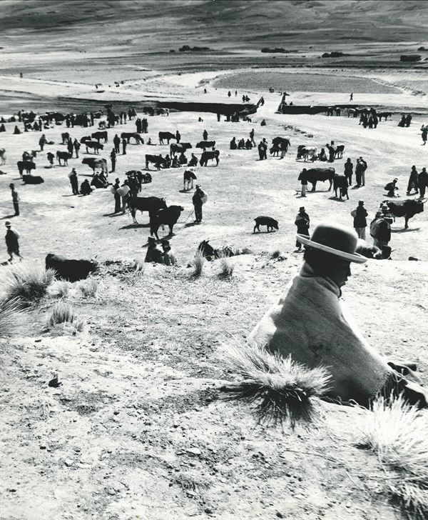 Paul Almasy (1906-2003) Cattle market at Tihuanaco, Bolivia