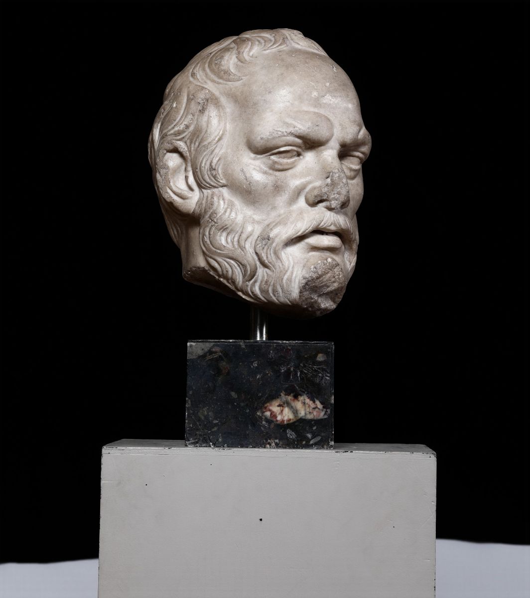 Monumentale Testa Virile in Marmo Bianco. Italia Probabile XVII Secolo