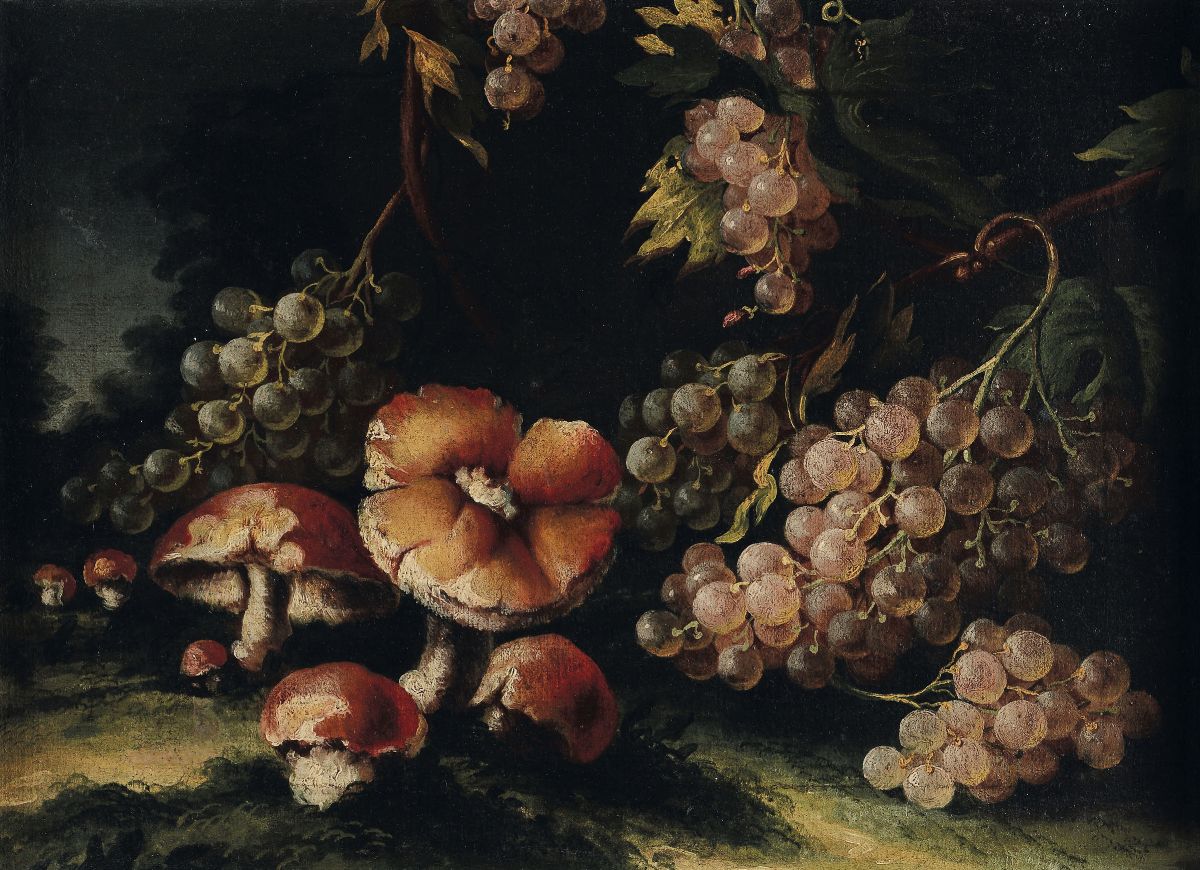 Francesco Malagoli - Attribuito a Natura Morta con Frutta