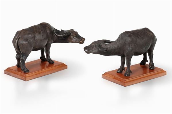 Due Bufale. Terracotta patinata. XIX secolo