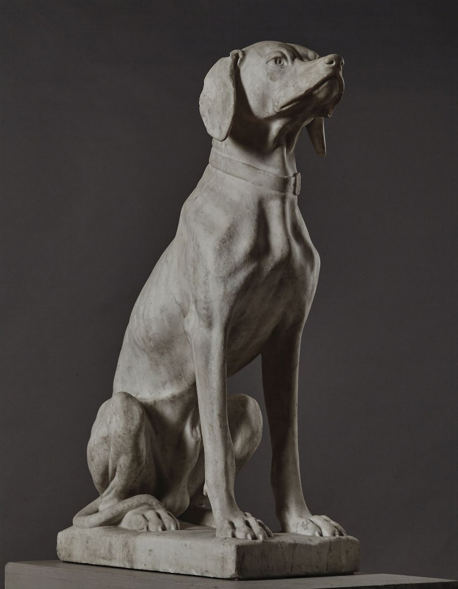 Segugio Italiano. Marmo Bianco. Arte Neoclassica Italiana, Ultimo Quarto del XIX Secolo