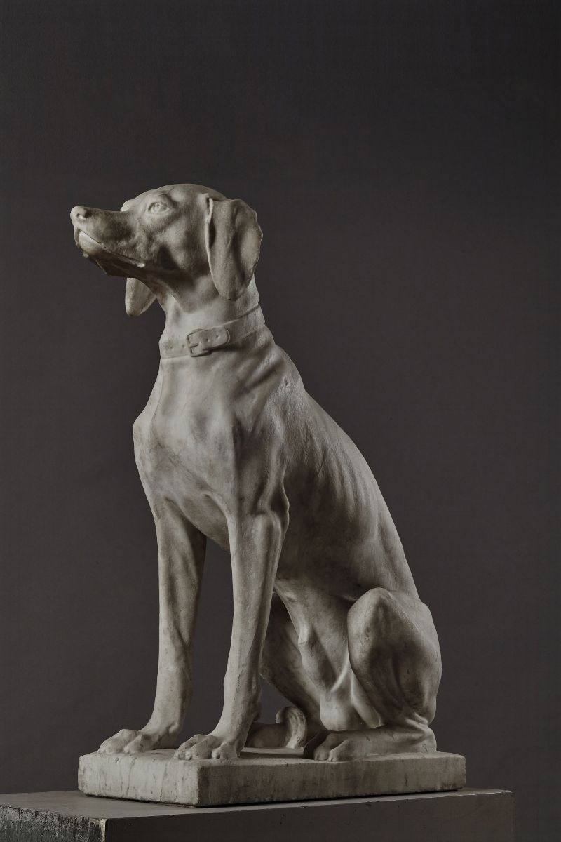 Segugio Italiano. Marmo Bianco. Arte Neoclassica Italiana, Ultimo Quarto del XIX Secolo
