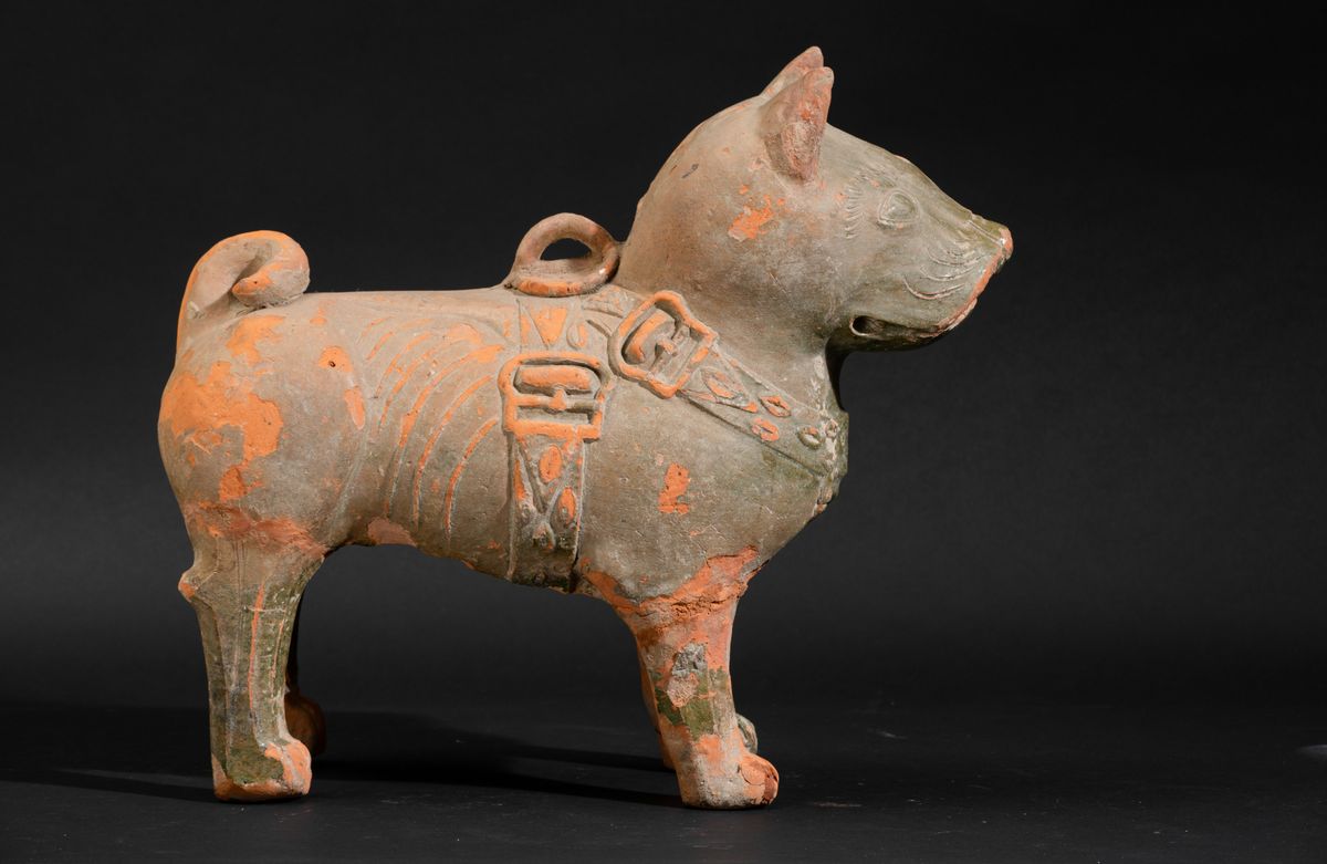 Versatoio a Foggia di Cane in Terracotta Policroma, Cina, Dinastia Han (206 a.C. - 220 a.C.)