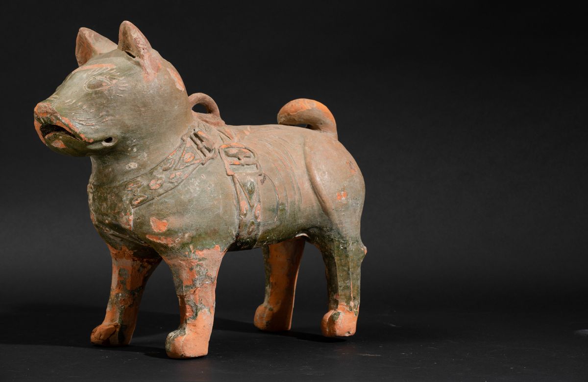 Versatoio a Foggia di Cane in Terracotta Policroma, Cina, Dinastia Han (206 a.C. - 220 a.C.)