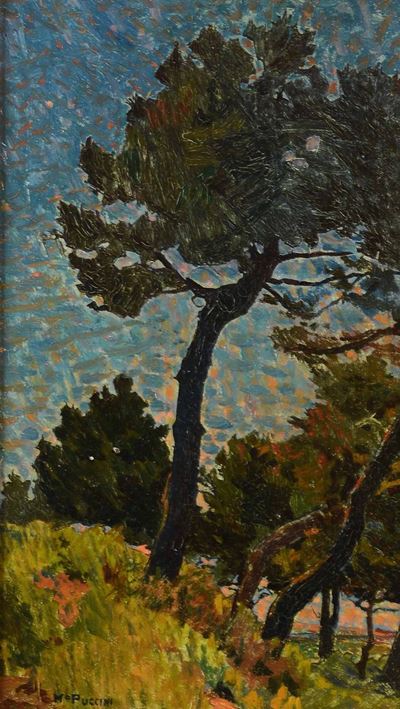 Mario Puccini (1869 - 1920 )pineta e Campolecciano