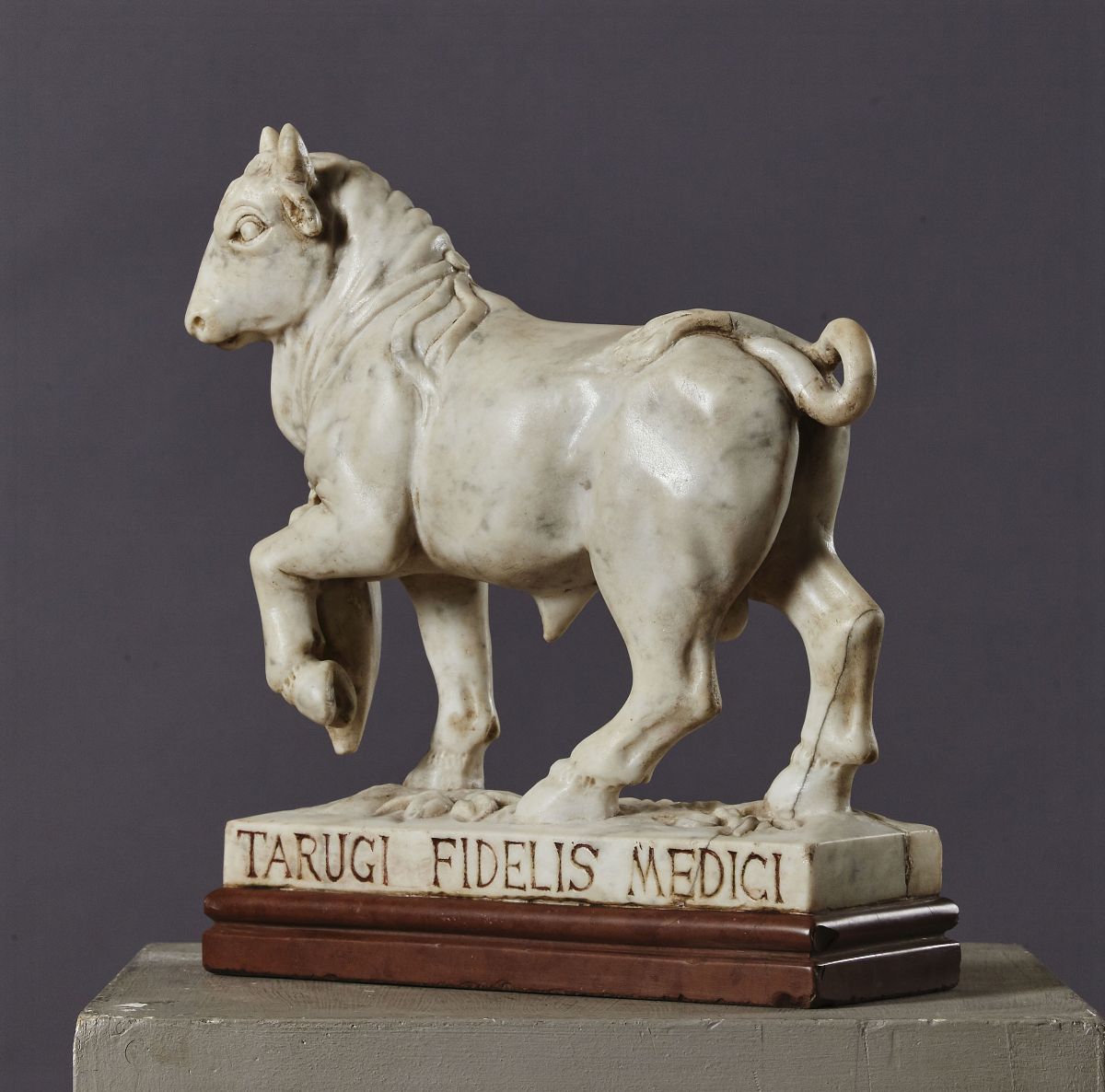 Toro. Marmo Bianco. Base in Marmo Rosso (probabilmente Non Coeva). Scultore Rinascimentale, Tosca...
