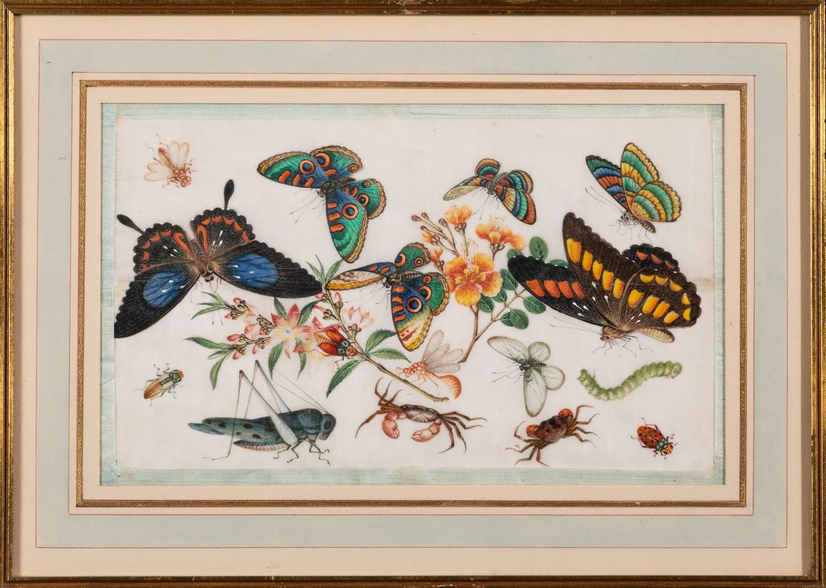 Coppia di Dipinti su Carta a Soggetto Naturalistico con Insetti e Farfalle, Cina, Dinastia Qing, ...