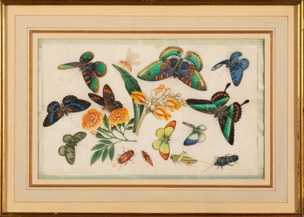 Coppia di Dipinti su Carta a Soggetto Naturalistico con Insetti e Farfalle, Cina, Dinastia Qing, ...