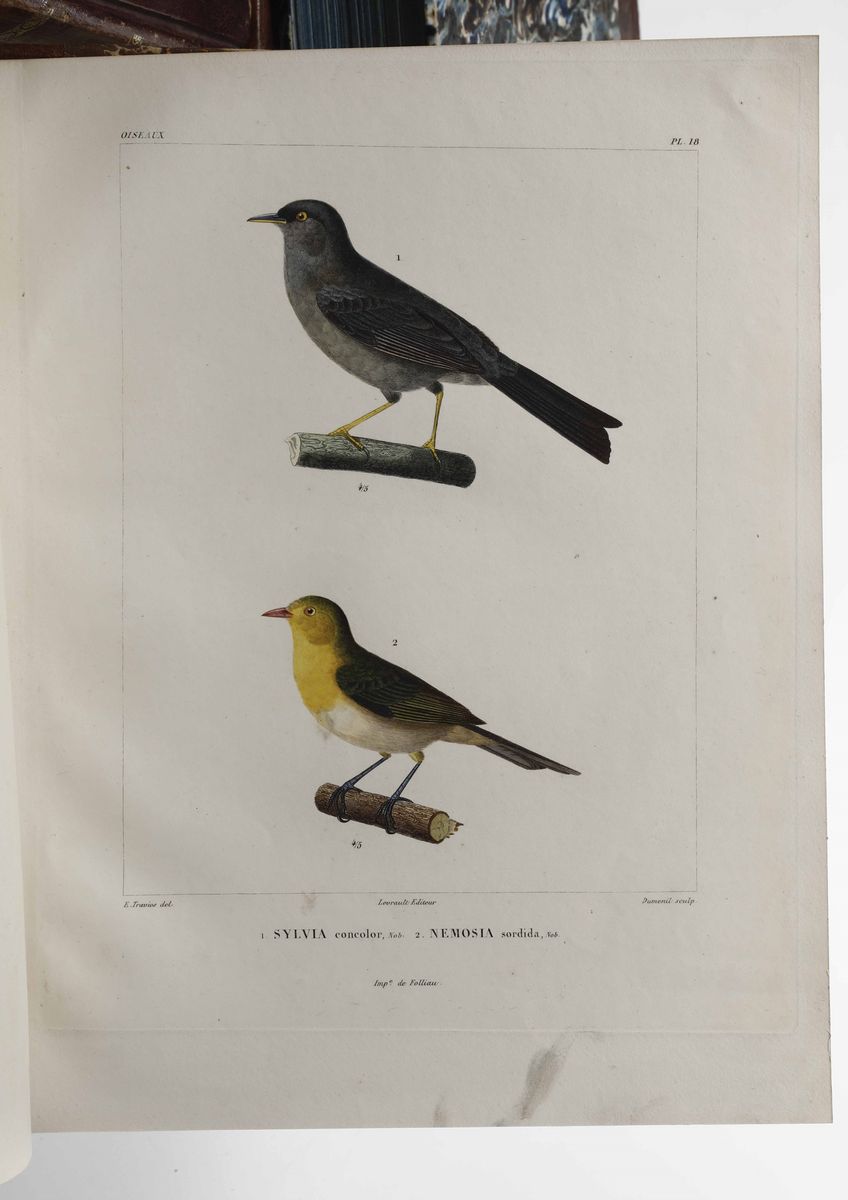 D'orbigny, Alcidevoyage Dans L'amèrique Mèridionale...paris, 1835-1839. Tomo i e IV Soltanto. Vol...