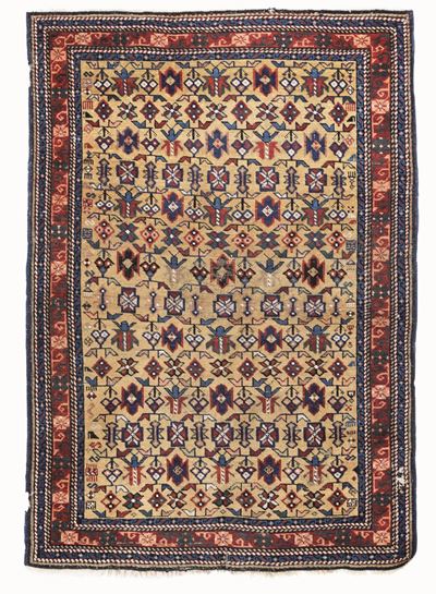 Tappeto Shirvan, Caucaso Fine XIX Secolo