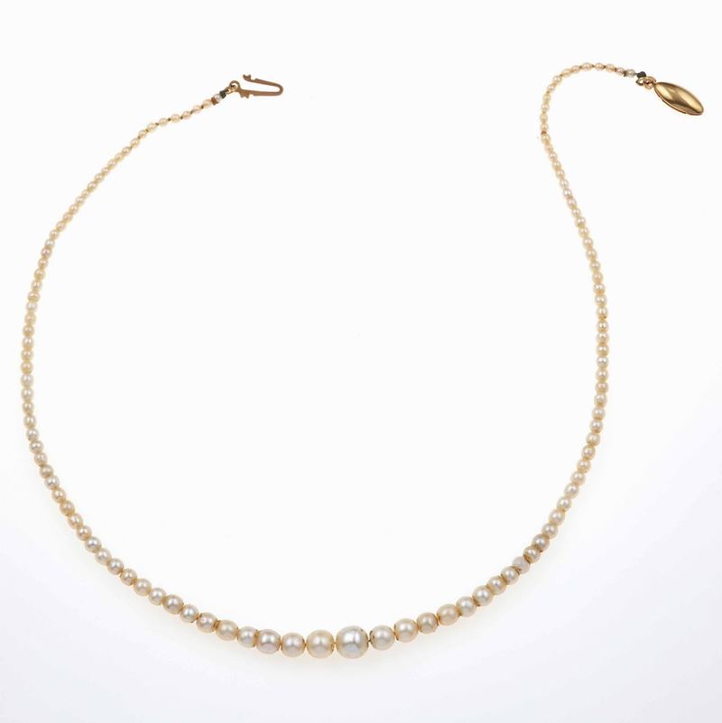 Filo di perle naturali  - Auction Fine Jewels - Cambi Casa d'Aste