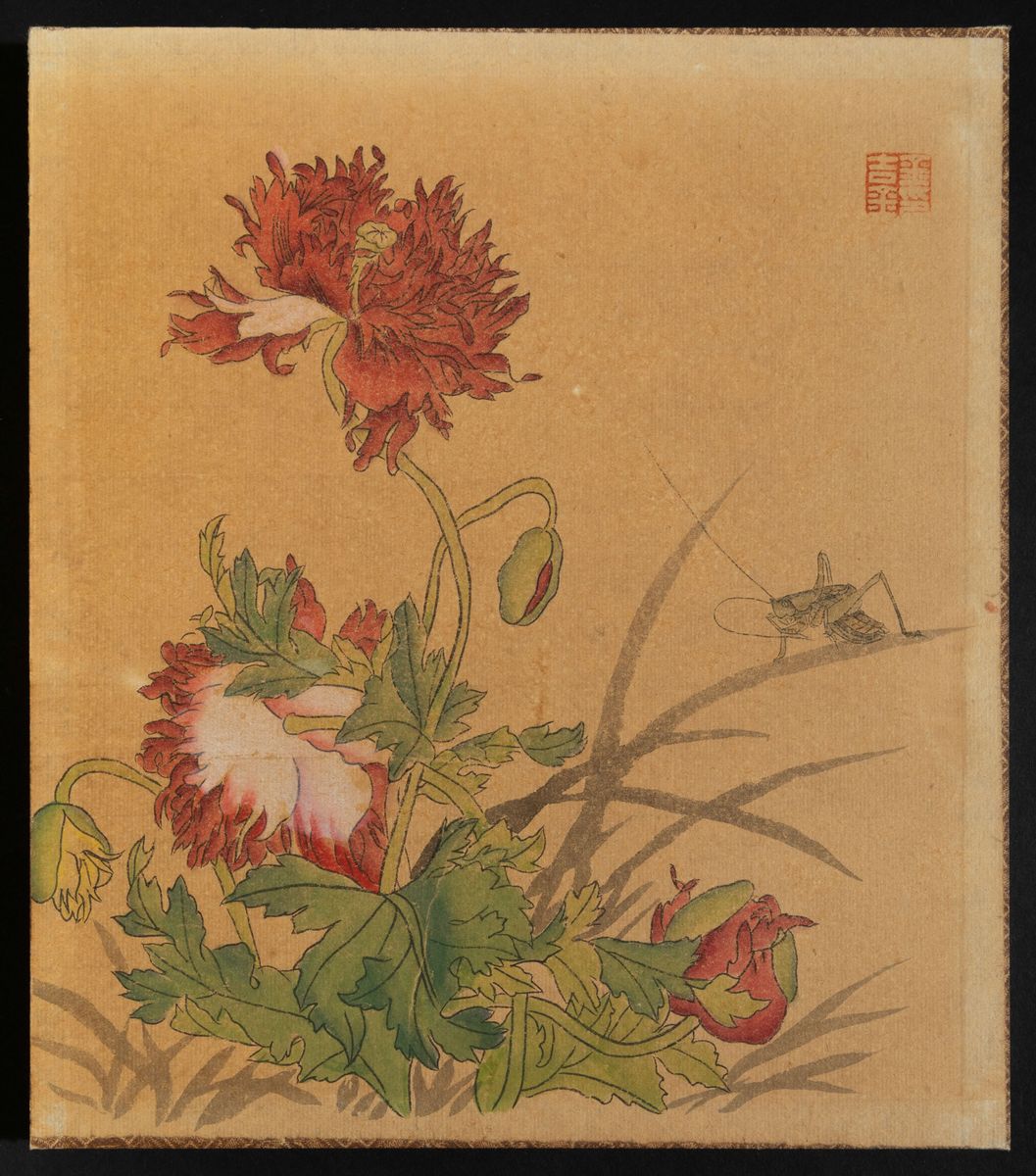 Dieci Disegni su Carta Raffiguranti Soggetti Naturalistici con Fiori, Insetti e Iscrizioni, Cina,...