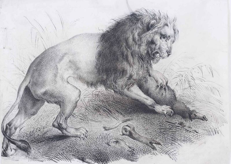Artista del XIX-XX secolo Leone che caccia una preda  - Asta Antiquariato II - Asta a Tempo - Cambi Casa d'Aste