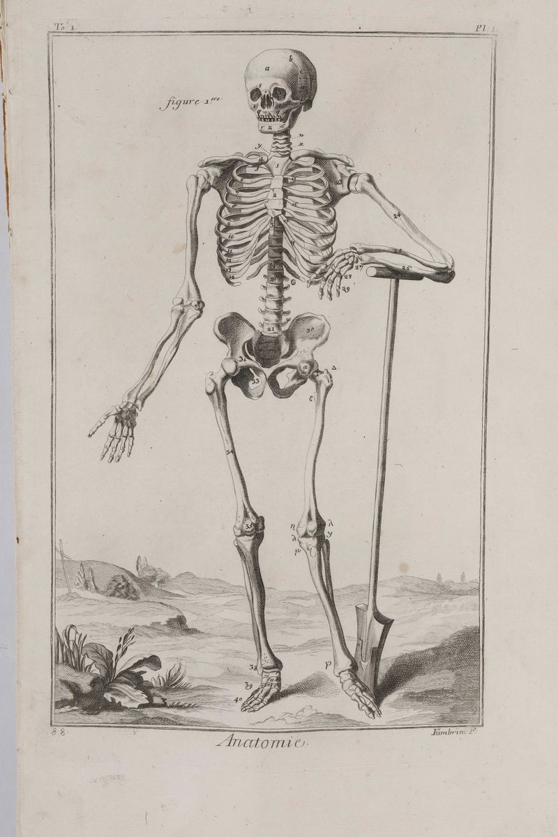diderot-D'alembertraccolta di Tavole Dedicate alla Anatomia del Corpo Umano. Fascicolo Esplicativ...
