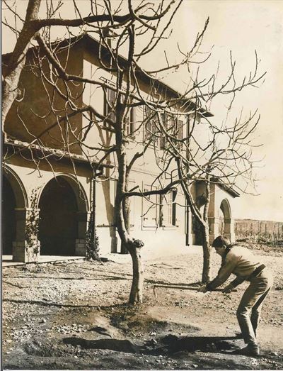 Gilberto Petrucci (1939)gianni Morandi