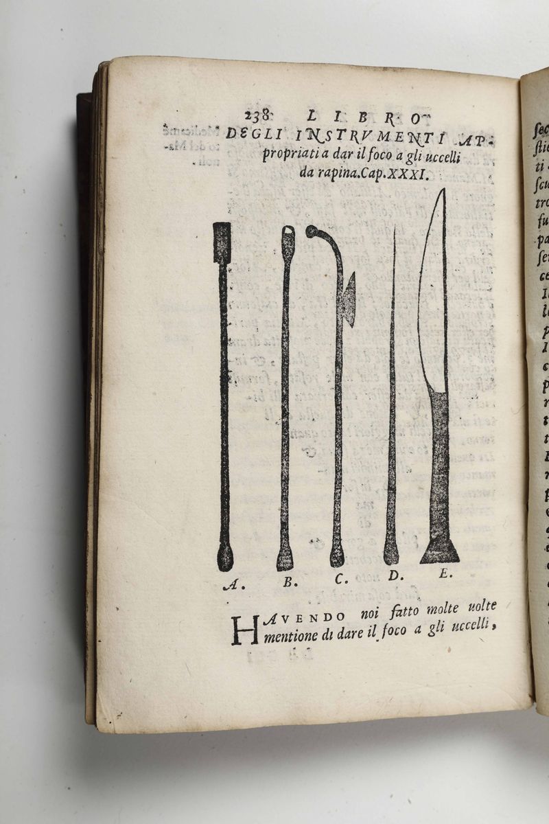 Sforzino da Carcano, Francescotre Libri De gli Uccelli da Rapina..in Vinegia,appresso Gabriel Gio...