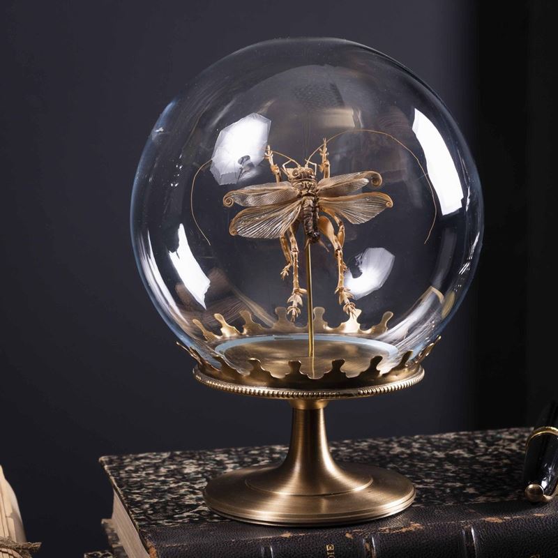 Locusta in sfera di vetro  - Auction Out of Ordinary - Cambi Casa d'Aste