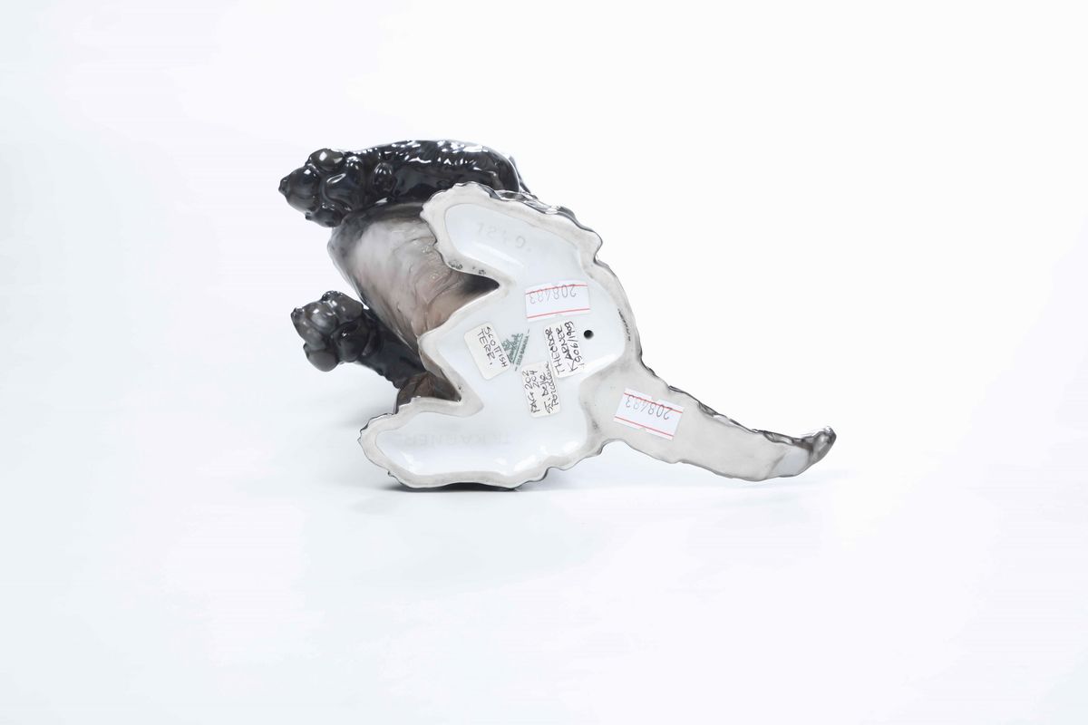 Rara Figura di Scottish Terrier Germania, Selb (baviera), Manifattura Rosenthal, Prima Metà del X...