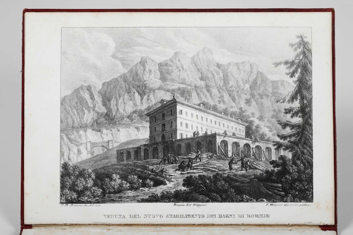 De Picchi Francescocenni Storico-medici sulle Acque Termali di Bormio Aggiuntavi un'appendice Int...