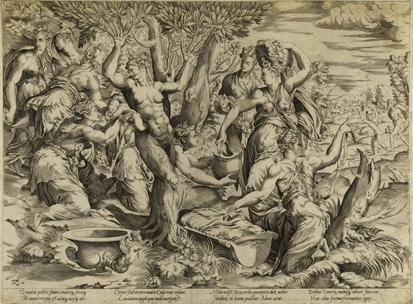 Enea Vico (Parma, 1523 – Ferrara, 1567) La nascita di Adone