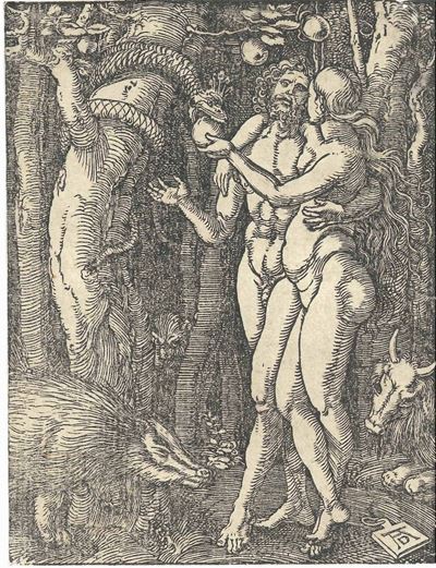 Albrecht Dürer (norimberga, 1471 – 1528)adamo ed Eva