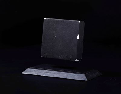 Elemento Scudo Termico Buran