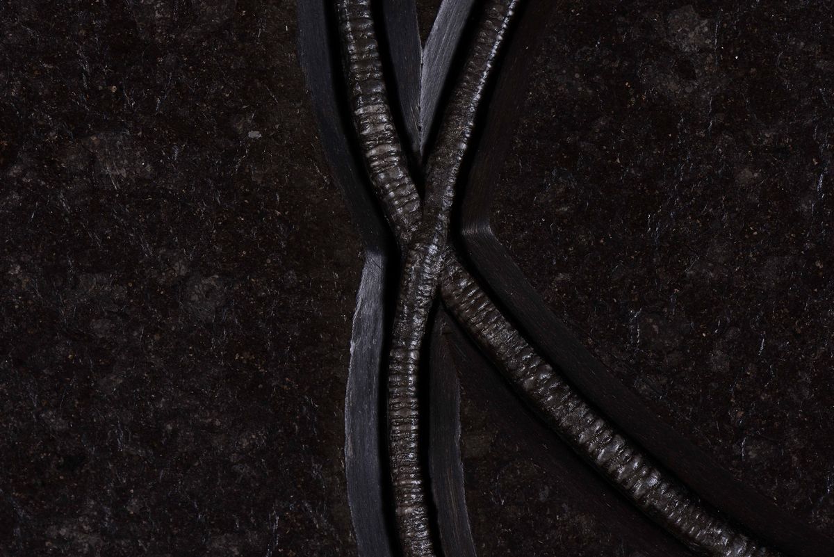 Coppia di Crinoidi su Lastra